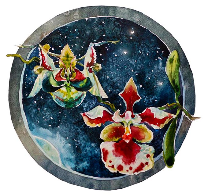 Богомол и орхидея